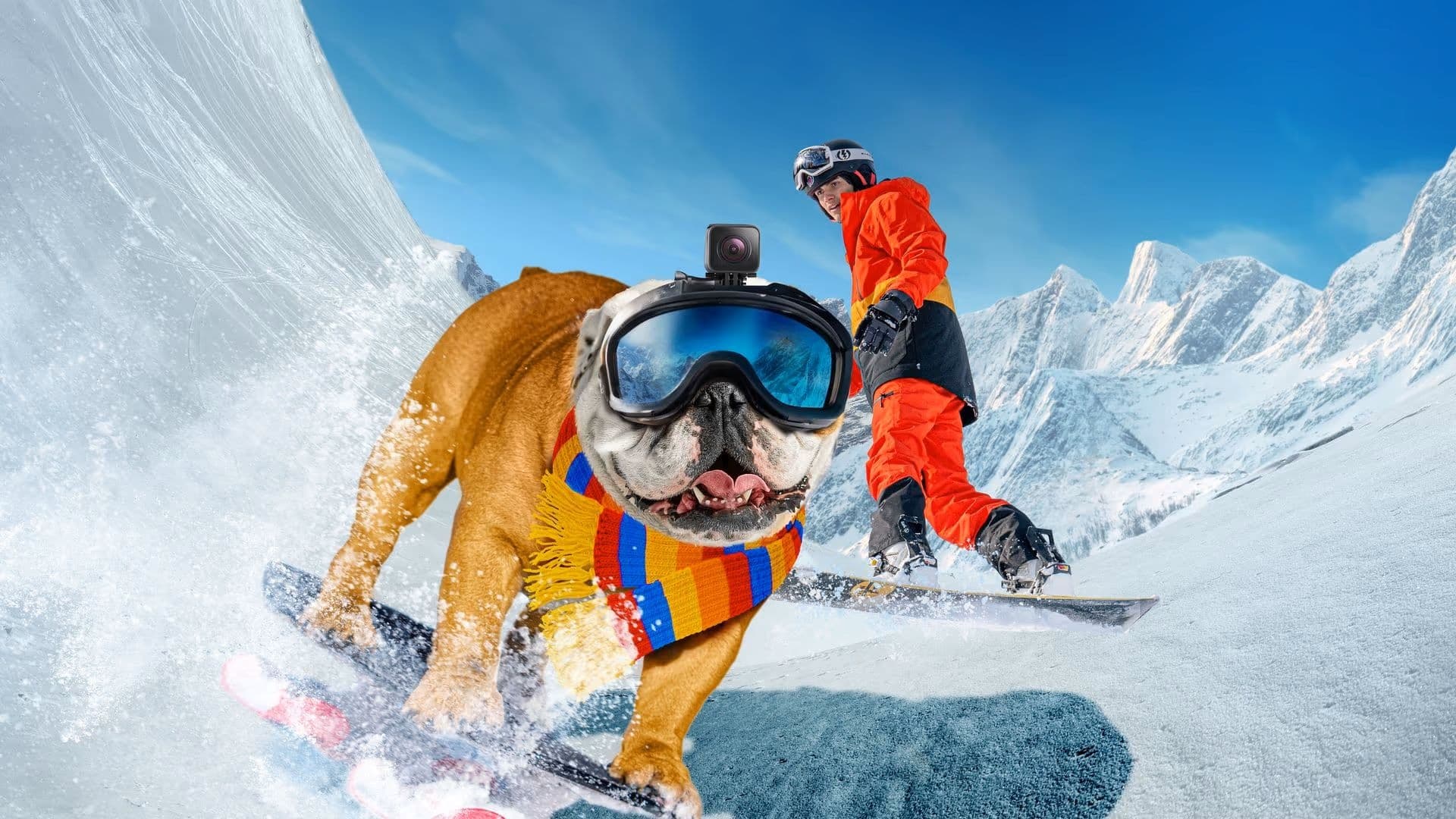 دانلود فیلم سگ اسکی باز Powder Pup 2024