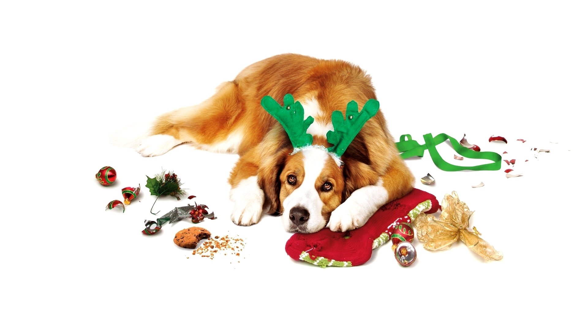 دانلود فیلم عشق در خانواده کوپر Love the Coopers 2015